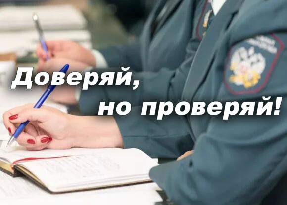 проверки бизнеса в 2024 году